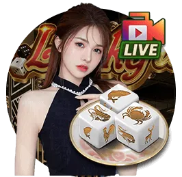 luck8